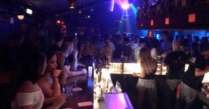 דארמה - הגושרים