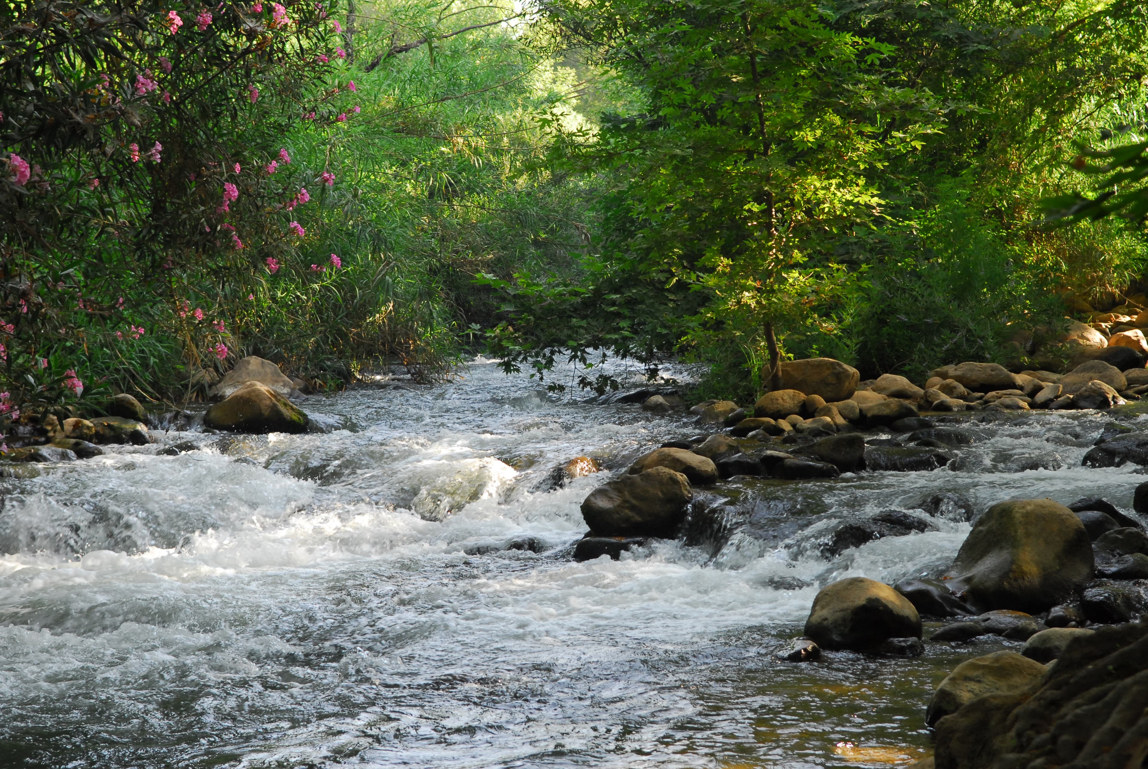 נחל שניר (חצבאני)